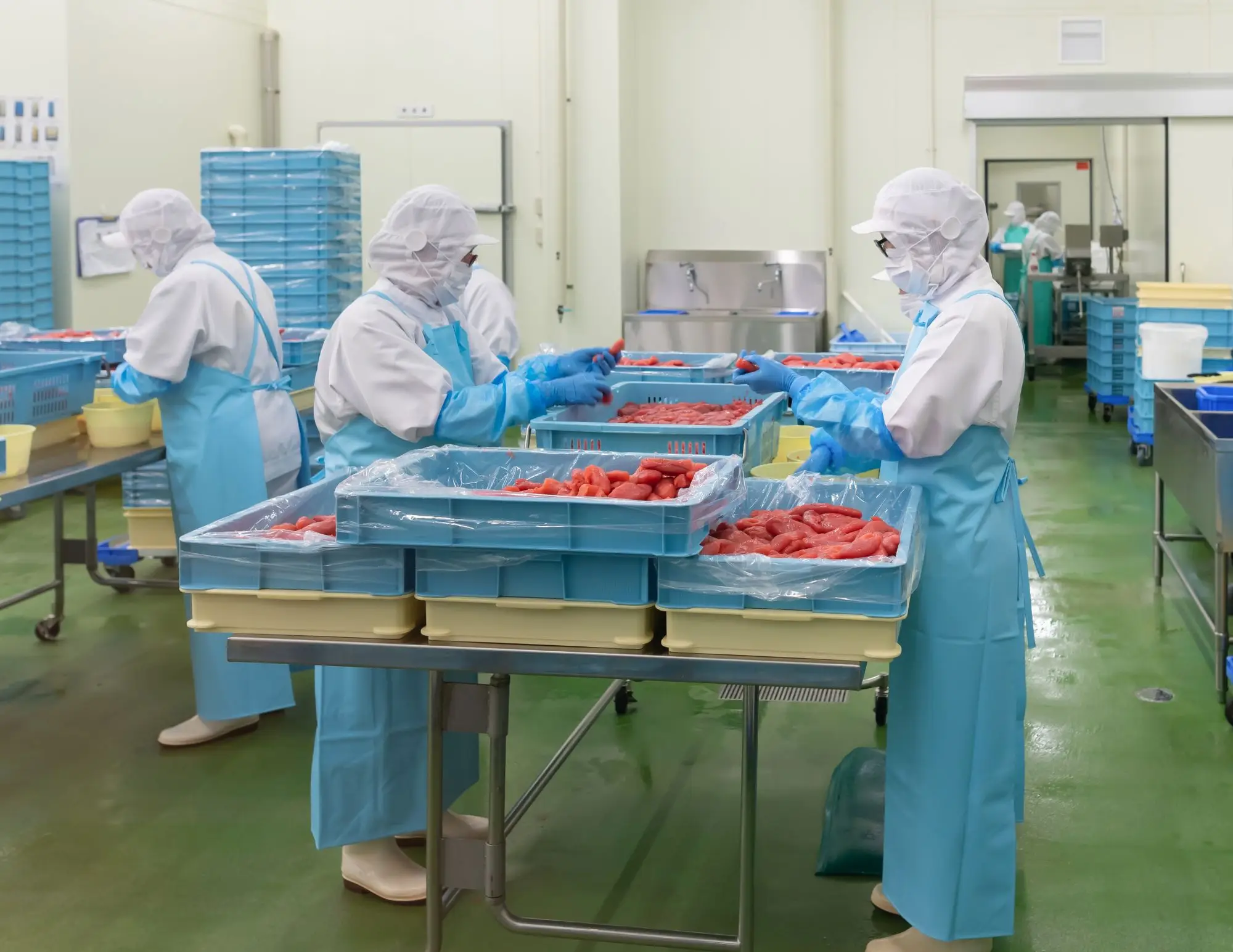Workers in protective clothing sorting products in a food processing facility.